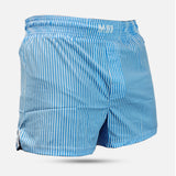 MA1 BLUE AND WHITE PINSTRIPE MMA SHORTS